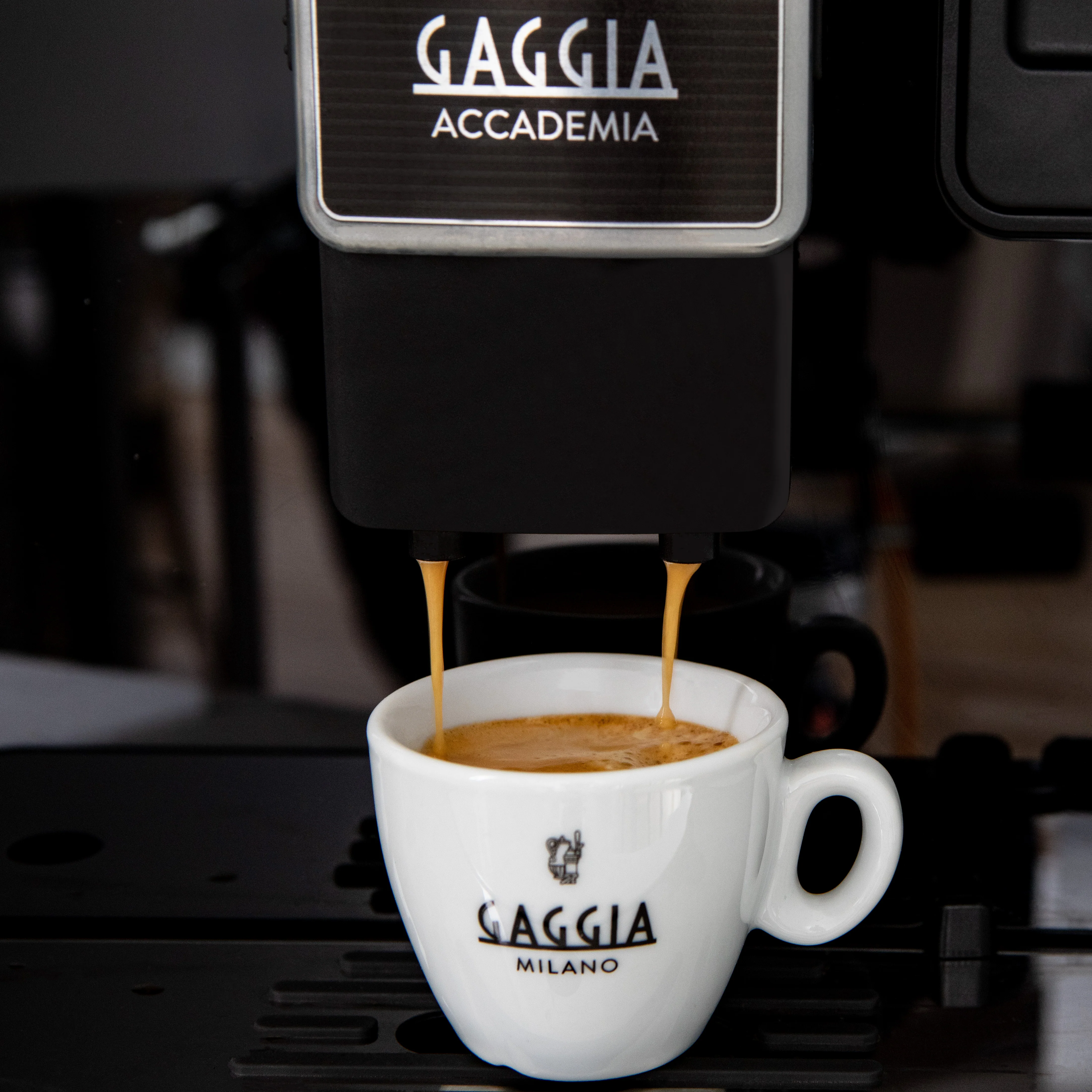 Gaggia Accademia - Image 15