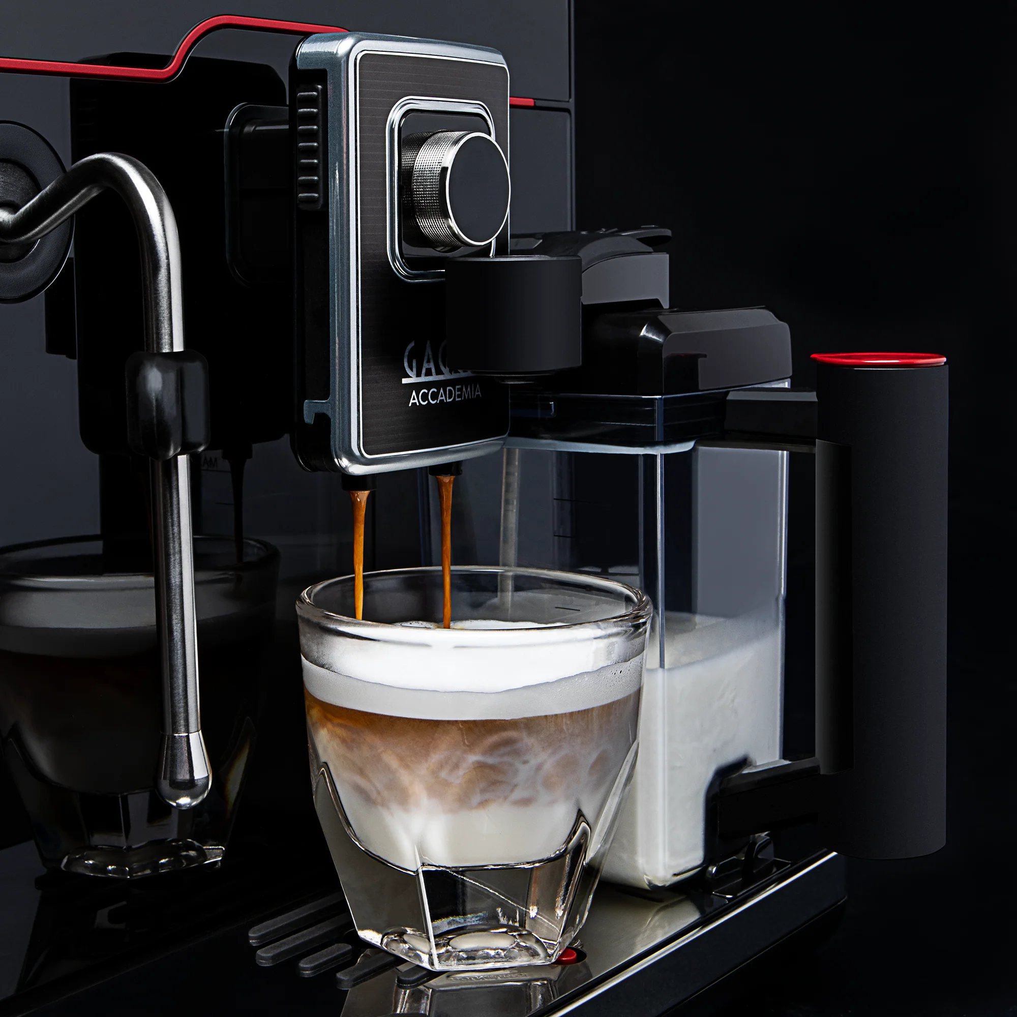Gaggia Accademia - Image 4
